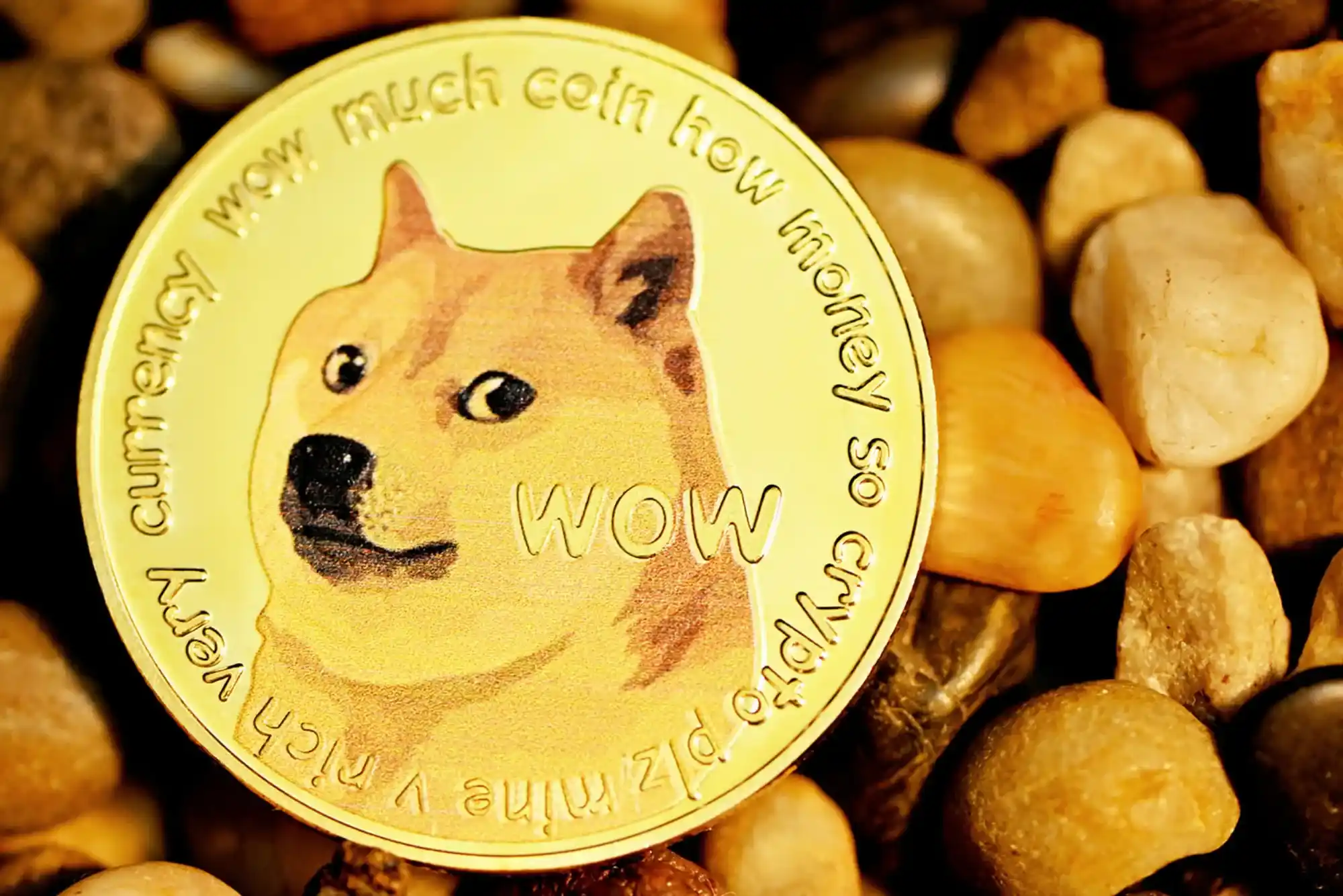 Shiba Inu Coin (SHIB)