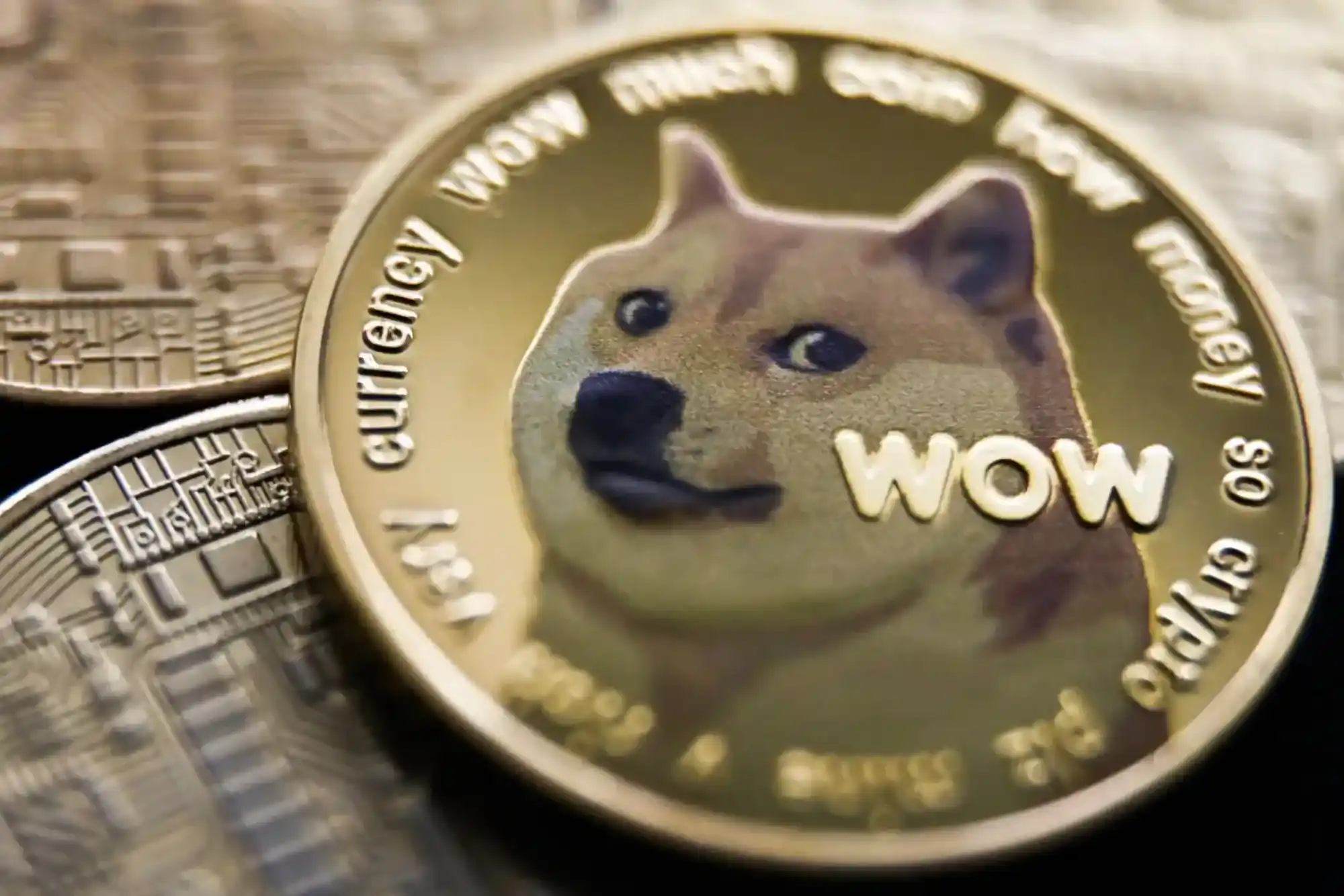 Shiba Inu Coin's Future and Roadmap