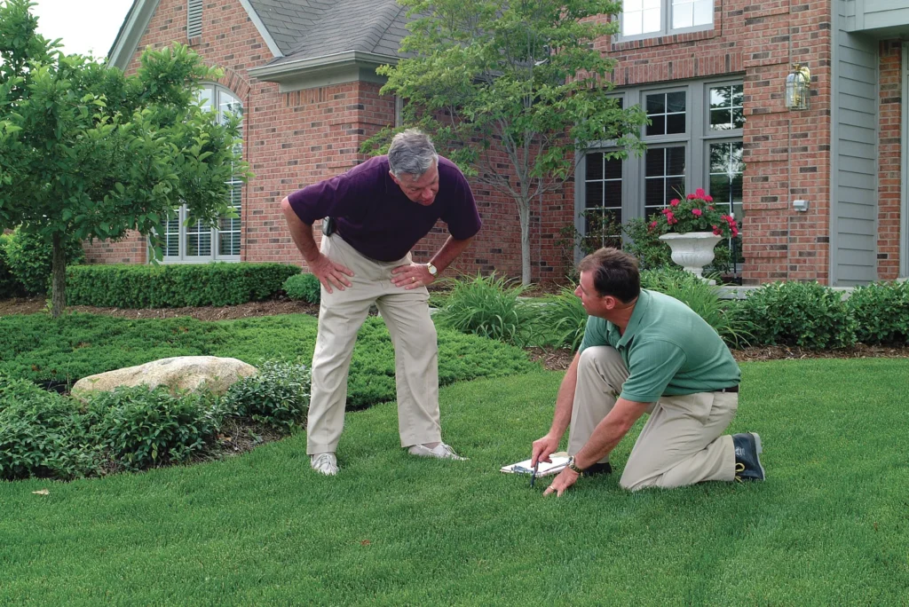 need an irrigation system for my lawn